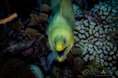 Bonaire2023-117