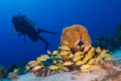 Curacao2025-146