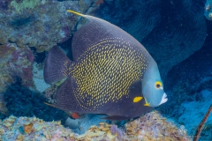 Curacao2025-15