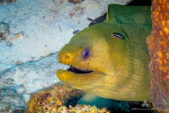 Curacao2025-167