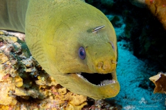 Curacao2025-170