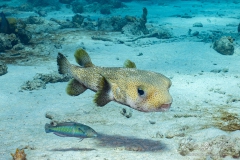Curacao2025-28