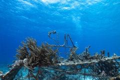 Curacao2025-80