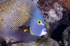 Curacao2025-97