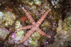 Aegypten_Nov2024-75