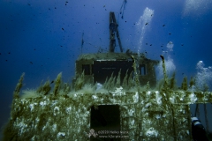 Gozo_UW-9