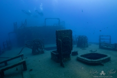 Madeira2026-50