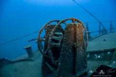 Madeira2026-58