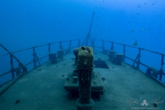 Madeira2026-59