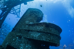 Madeira2026-74
