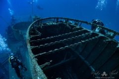 Madeira2026-79