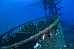 Madeira2026-92